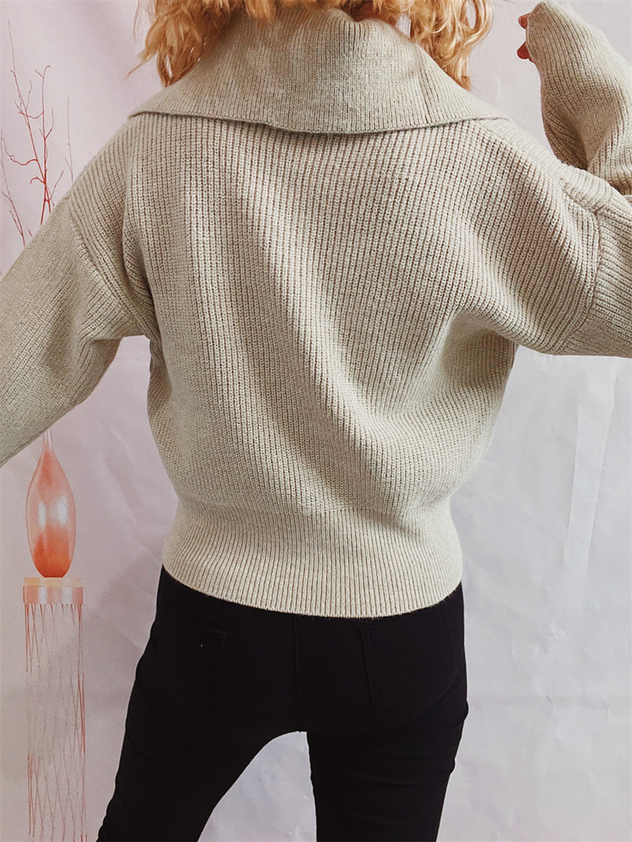 Statement Collar Half Button Sweater