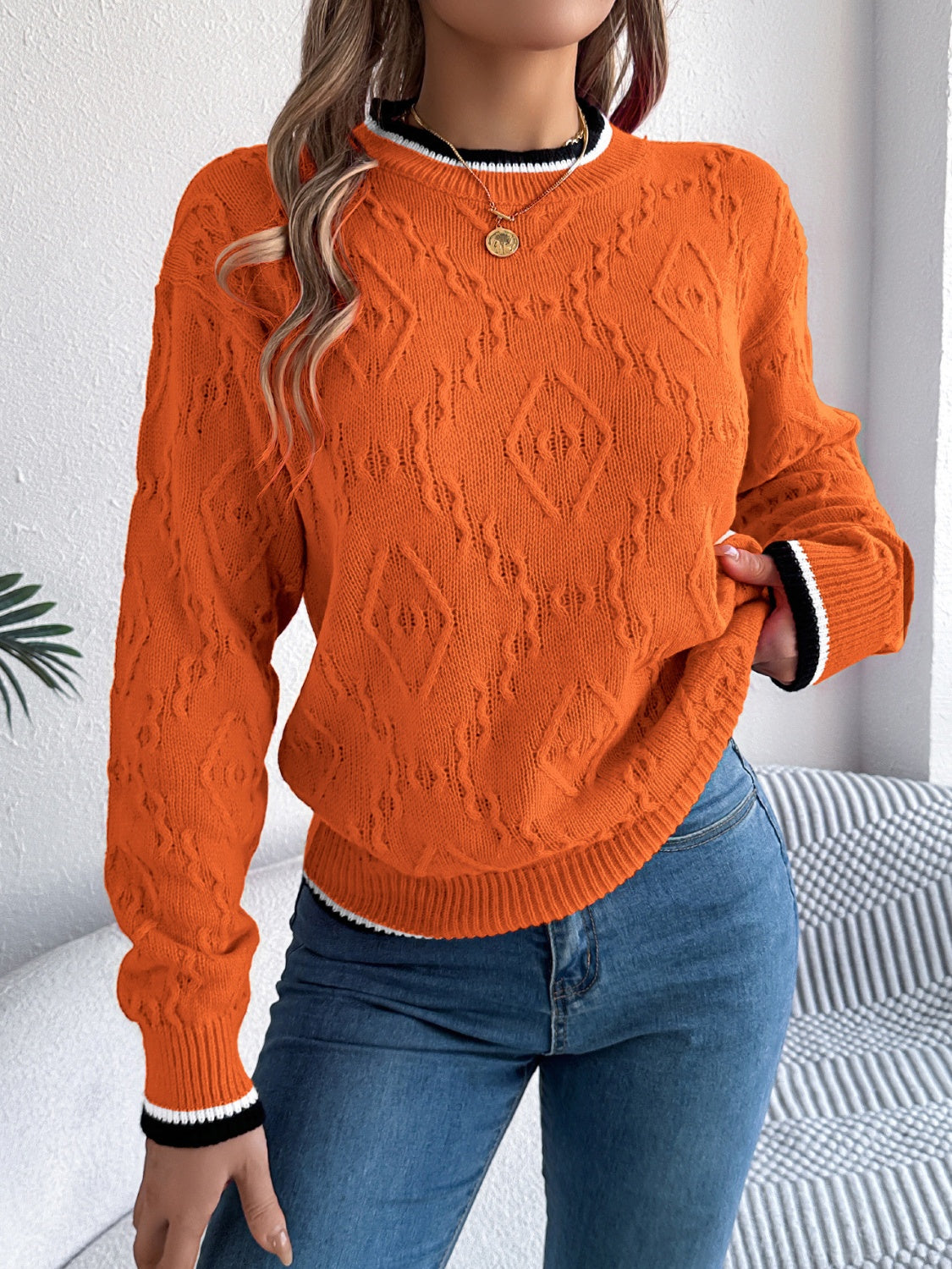 Contrast Trim Round Neck Long Sleeve Sweater