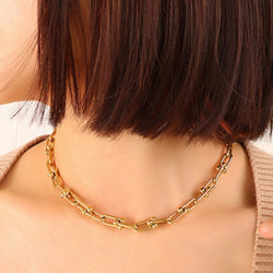 Collar de acero y titanio con cadena gruesa